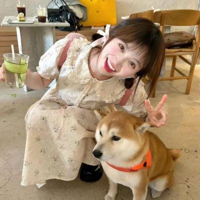 风流夜合花